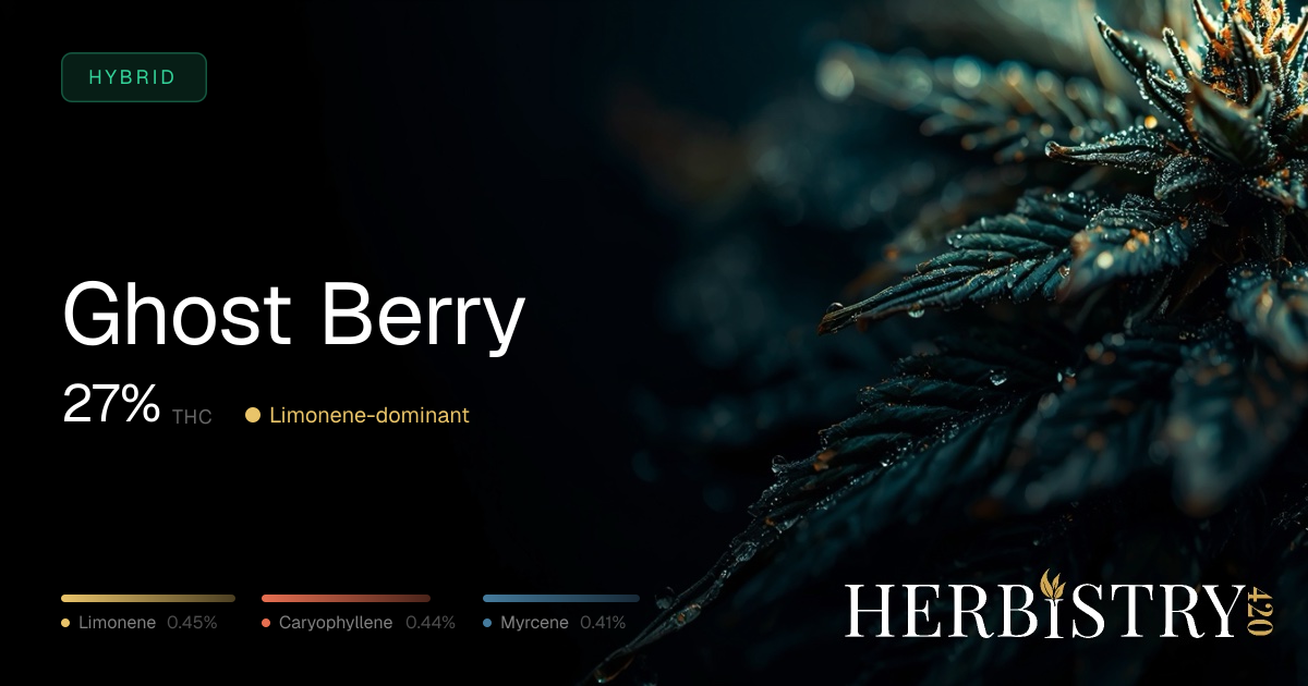 Ghost Berry: Hybrid Cannabis Strain | Herbistry420