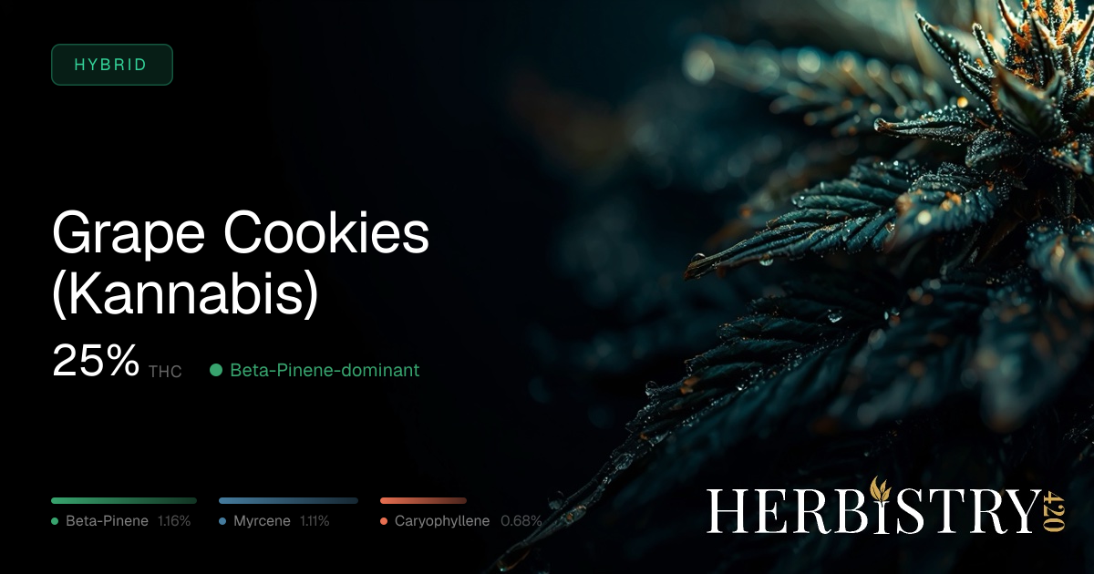 Grape Cookies (Kannabis): Hybrid Cannabis Strain | Herbistry420
