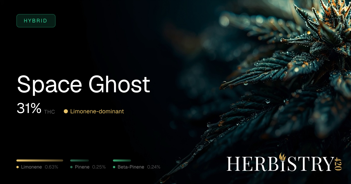 Space Ghost: Hybrid Cannabis Strain | Herbistry420